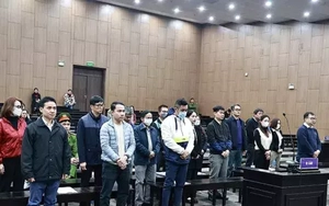 3 cựu phó giám đốc sở đều được giảm án trong vụ 'chuyến bay giải cứu' giai đoạn 2