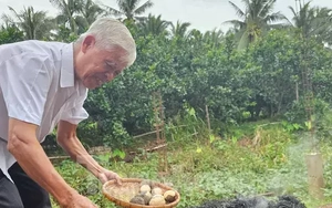 Tận thấy món đặc sản 'ngọc ẩn mình' rất lạ ở bên cồn