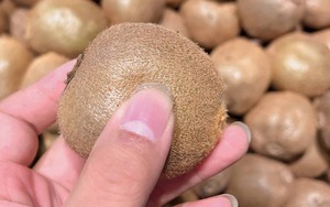 Loại quả bé xíu mệnh danh là "siêu trái cây", giàu vitamin C hơn cam, ra chợ là thấy