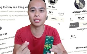 Toàn cảnh "hệ sinh thái” Hải Sen - cỗ máy in tiền trước khi sụp đổ