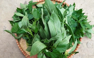 Việt Nam có loại rau nhiều sắt hơn cả thịt bò, Trung Quốc ví như "thuốc của người nghèo": Cực tốt cho tim