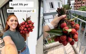 Bỏ 30.000 đồng/kg mua loại trái cây yêu thích ở Việt Nam, khách Tây khiến dân mạng bái phục vì "mát tay" chọn được giá hời