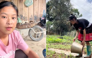 Sùng Bầu gặp vấn đề tâm lý, dừng kinh doanh