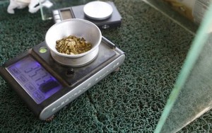 Nơi vàng là ‘lộc trời cho’: Có thể đào được cả cân vàng trong một ngày, dân đem hạt vàng li ti đi mua thực phẩm, giá hàng hóa được niêm yết theo trọng lượng vàng