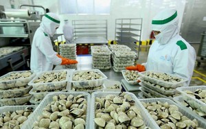 “Báu vật mới” của Việt Nam nhiều cường quốc ‘săn lùng’: Trung Quốc tăng mua 381%