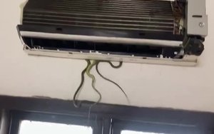 Dấu hiệu quan trọng cho thấy đang có rắn, 'sinh vật lạ' trong điều hòa: Nhiều gia đình chủ quan bỏ qua