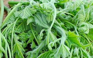 Cách chế biến loại rau bổ ngang thịt, ăn thường xuyên giúp sáng mắt, đẹp da