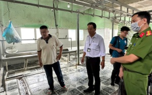 Vụ C.P. Việt Nam bị “tố” bán thịt heo bệnh: Hé lộ sự thật tại cơ sở giết mổ ở Hậu Giang