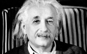 Ai là người nuôi cá: Câu đố huyền thoại của Einstein chỉ có 2% dân số đủ thông minh để giải được, còn bạn thì sao?