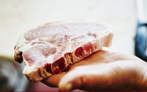 Mách bạn dấu hiệu nhận biết thịt lợn bệnh