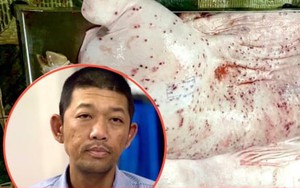 Người tố C.P. bán thịt heo bẩn: Sao hôm trước nói tôi bịa đặt, giờ lại nhận?