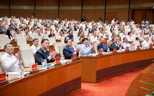 'Bộ tứ trụ cột' là gì?