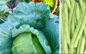 Chuyên gia kể tên những loại rau mùa hè dễ 'ngậm' hóa chất nhất