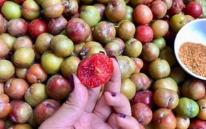 2 loại trái cây trùng tên nhưng số phận khác nhau, giá cả chênh lệch thấy rõ: Nhiều người đi chợ vẫn nhầm!