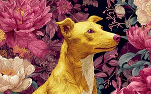 Tử vi ngày 21/6: 4 con giáp có “bộ 3” may mắn thăng hoa, vận khí ngút trời, tiền tình sự nghiệp cùng sáng