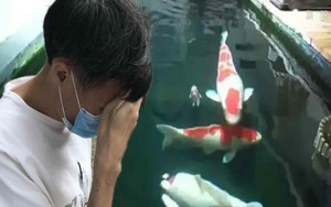 Chi tiền khủng cải tạo tầng hầm chung cư thành ao cá Koi, người đàn ông bị hàng xóm kiện ra tòa: “Anh không được làm thế”