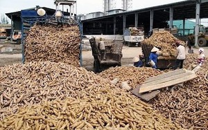 Hàng chục nghìn tấn hàng ùn ứ ở cửa khẩu: Bộ trưởng Thái Lan vừa nhấn mạnh điều gì?