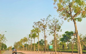 Quảng Bình: Cán bộ bị kỷ luật từ 2020 đến nay sẽ không được bổ nhiệm cao hơn