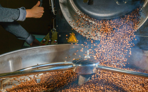 ‘Vàng nâu’ của Việt Nam lao dốc 30% kể từ đỉnh, chuyện gì đang xảy ra?