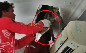 Nghe thấy tiếng động bí ẩn, gia chủ tưởng là chuột nhưng khi trần nhà sụp xuống thì vội gọi cứu hộ