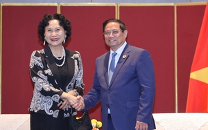 Gặp Thủ tướng, chuyên gia của đặc khu kinh tế thành công nhất Trung Quốc sẵn sàng hợp tác với Việt Nam