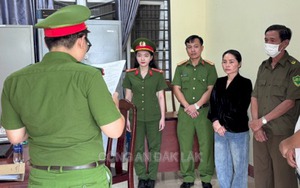 Bắt tạm giam nữ Giám đốc Nguyễn Thị Hợi