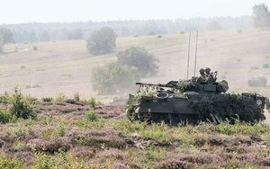 Tại sao Anh không gửi xe chiến đấu bộ binh Warrior tới chiến sự?
