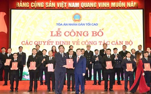 Bổ nhiệm 29 Chánh tòa, Chánh án các tỉnh thành mới