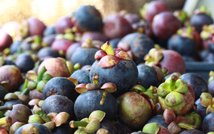 Sau sầu riêng, thêm một loại trái cây của Thái Lan gặp hạn: Giá thấp nhất trong 10 năm, Việt Nam cũng đang xuất khẩu rất nhiều