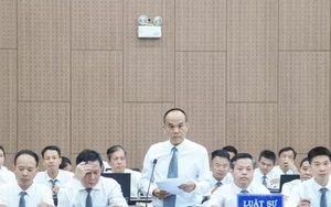 Luật sư đề nghị gỡ phong tỏa 196 bất động sản cho Chủ tịch Tập đoàn Phúc Sơn khắc phục hậu quả