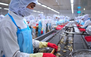 "Kho báu dưới nước" mang tỷ USD cho Việt Nam: Bí quyết vàng từ doanh nghiệp đứng Top 1