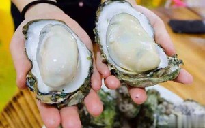 Khi mua hàu, đừng mua 3 loại hàu này: Chủ cửa hàng hải sản không bao giờ để người nhà ăn