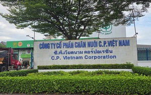 Công ty C.P Việt Nam từng bị UBND tỉnh Đồng Nai xử phạt gần 800 triệu đồng