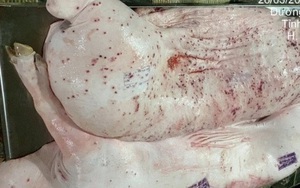 NÓI THẲNG: Công ty C.P. có bán thịt bẩn?