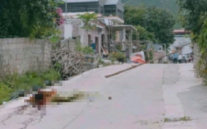 Nguyên nhân ban đầu vụ chồng giết vợ mới cưới rồi dùng súng tự sát ở Hạ Long