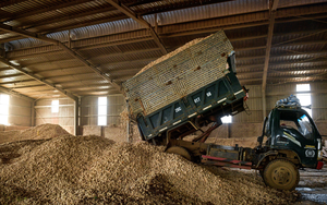 Thứ người Việt từng vứt đi nay thành “mỏ tiền” tiềm năng, sản phẩm được thế giới săn đón