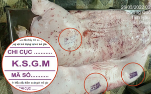 Vụ C.P. Việt Nam bị tố bán heo bệnh: Các mẫu dấu đóng trên thịt gia súc nói lên điều gì?