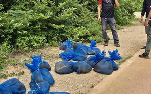 Nghe thấy âm thanh như tiếng trẻ con khóc, người dân chạy đến thì sững sờ với cảnh tượng trước mắt