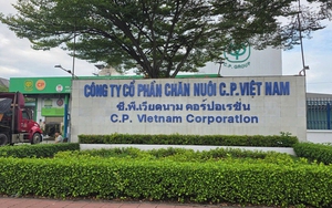 Vụ Công ty CP Chăn nuôi C.P. Việt Nam bị tố bán heo bệnh: Xem xét chuyển Bộ Công an điều tra