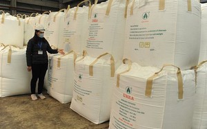 Lào đưa sang Việt Nam hàng trăm nghìn tấn hàng quan trọng: thuế nhập khẩu 0%, nước ta tiêu thụ hơn 10 triệu tấn/năm