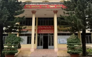 Tiếp tục điều tra hai thẩm phán TAND tỉnh Đắk Lắk nhận hối lộ hàng tỷ đồng để tuyên án treo cho bị cáo