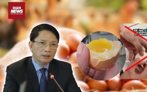 Câu view ‘trứng gà giả': Sinh kế của người chăn nuôi gia cầm bị bóp nghẹt