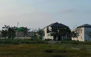 Mua đất quê 1.200m2 từ thời giá chỉ 500.000 đồng, người phụ nữ vui mừng: Vừa rao bán 6,5 tỷ đồng đã có người mua ngay