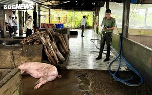 Kết quả kiểm tra lò mổ heo gia công cho các cửa hàng C.P ở Sóc Trăng