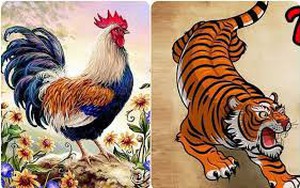 Từ Rằm tháng 5 âm có 4 con giáp đón nhận tài lộc ào ạt, sự nghiệp thăng hoa, tiền nong rủng rỉnh