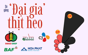 350.000 con heo nái đưa C.P. Việt Nam thống trị ngành heo, ‘đại gia’ Việt phất cờ chiếm lại thị trường?