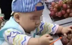 Đưa cháu trai đi siêu thị, cậu bé làm nát cả rổ nho, phản ứng của người ông khiến nhân viên tức đến phát khóc