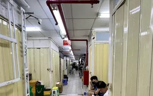 Vòi bạch tuộc vẫn luồn lách