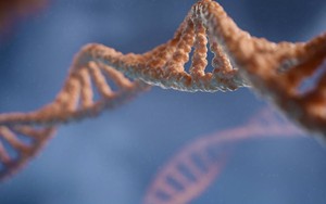 Phát hiện gene đột biến giúp con người khỏe mạnh dù chỉ ngủ 3 tiếng mỗi đêm