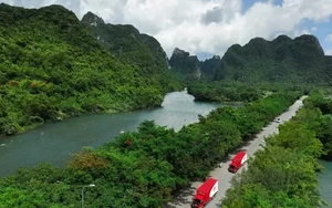 Logistics xanh – thay đổi để thích nghi, hướng đi không thể đảo ngược